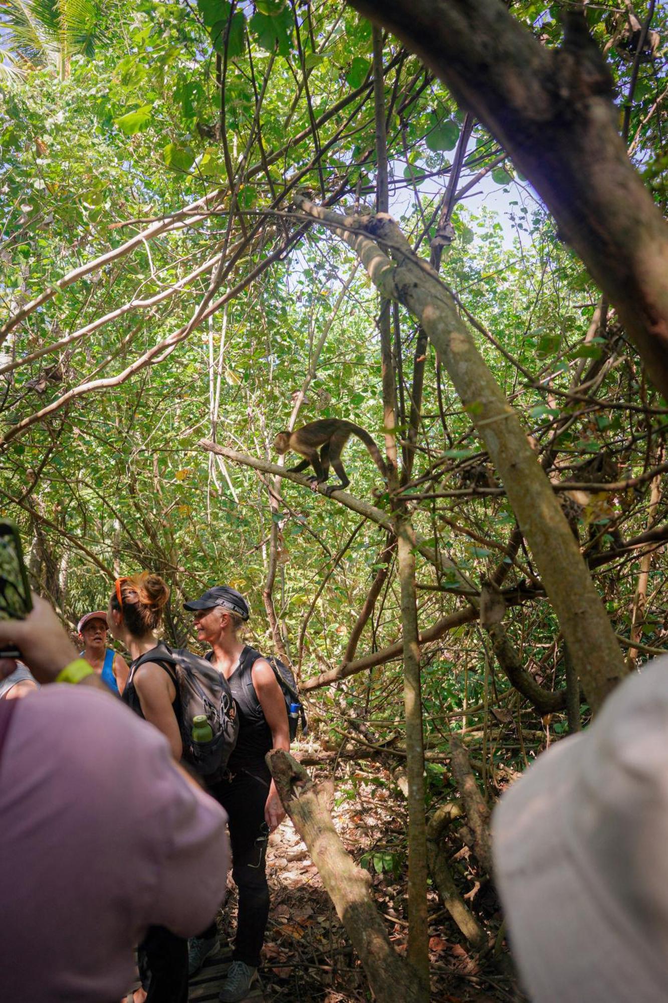 Ecohotel Yachay Tayrona Dentro Del Parque Tayrona El Zaino Bagian luar foto