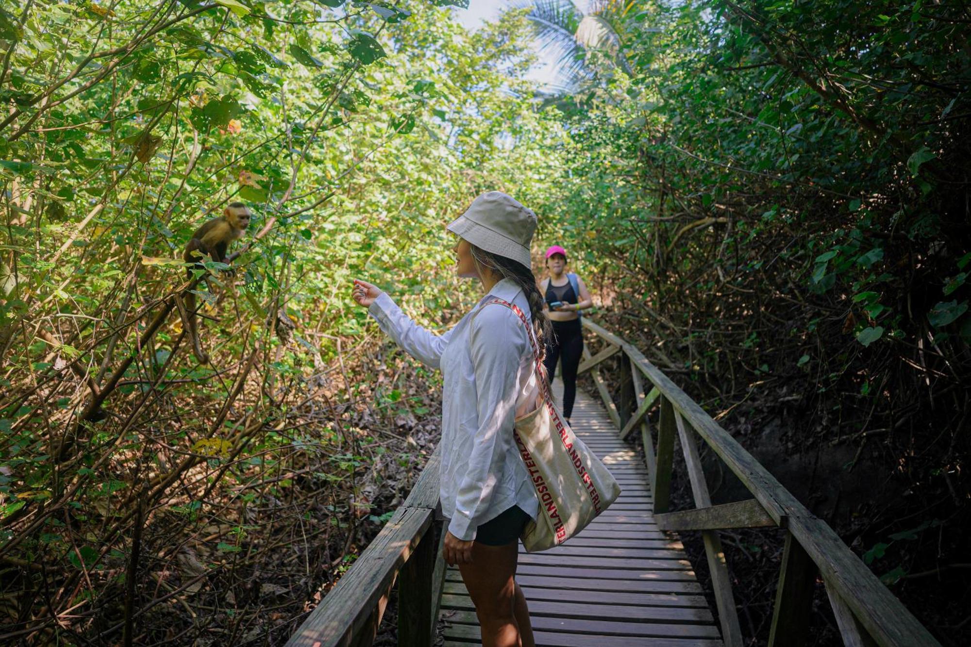 Ecohotel Yachay Tayrona Dentro Del Parque Tayrona El Zaino Bagian luar foto