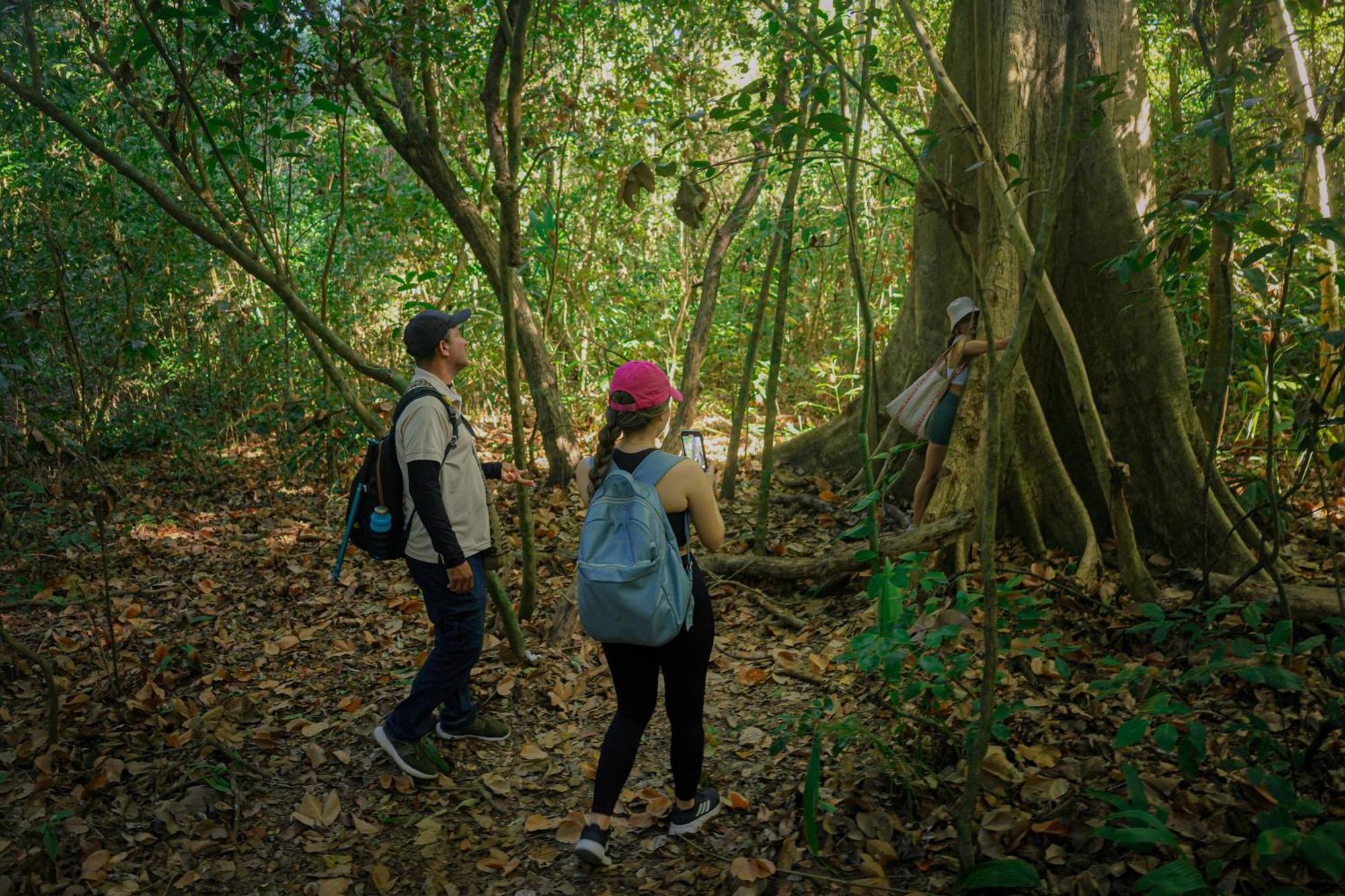 Ecohotel Yachay Tayrona Dentro Del Parque Tayrona El Zaino Bagian luar foto