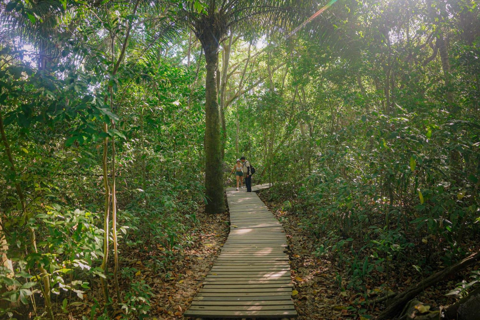 Ecohotel Yachay Tayrona Dentro Del Parque Tayrona El Zaino Bagian luar foto