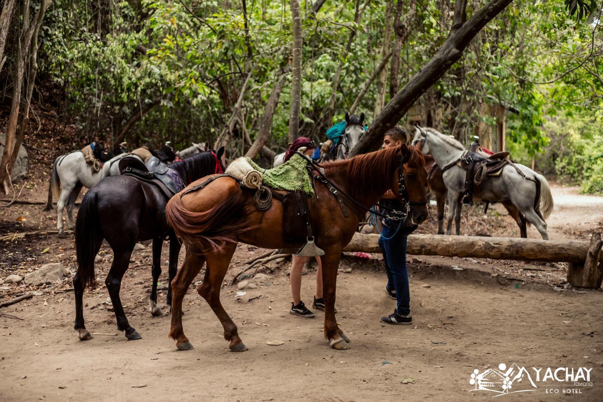 Ecohotel Yachay Tayrona Dentro Del Parque Tayrona El Zaino Bagian luar foto